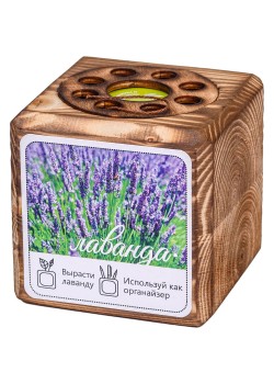 Набор для выращивания с органайзером «Экокуб Burn», лаванда