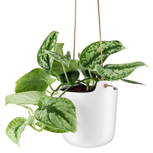 Горшок для растений Flowerpot, подвесной, белый