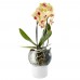 Горшок для орхидеи с функцией самополива Orchid Pot, большой, белый