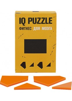 Головоломка IQ Puzzle Figures, прямоугольник
