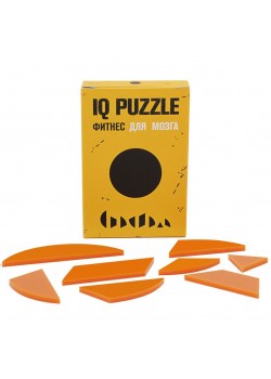Головоломка IQ Puzzle Figures, круг