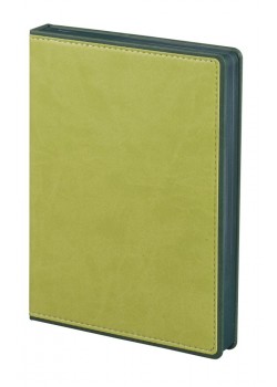 Ежедневник Freenote, недатированный, зеленый