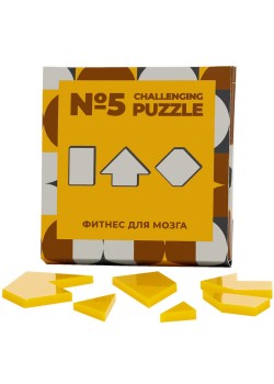 Головоломка Challenging Puzzle Acrylic, модель 5