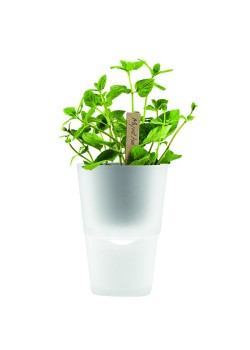 Горшок для растений Flowerpot, фарфоровый, белый