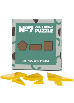 Головоломка Challenging Puzzle Acrylic, модель 7