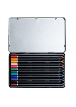 Набор цветных карандашей PROFESSIONAL, 12 цветов, серебристый