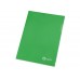 Папка- уголок, для формата А4, плотность 180 мкм, зеленый матовый