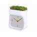 Часы настольные Grass, белый/зеленый