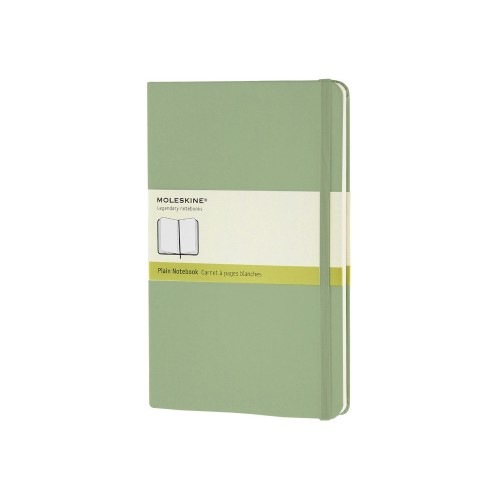 Записная книжка Moleskine Classic (нелинованный) в твердой обложке, Large (13х21см), фисташковый