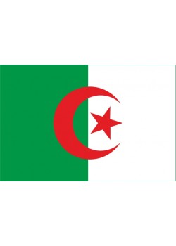 Флаг Алжира двусторонний блэкаут