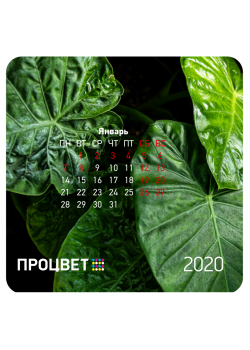 Магнитный календарь (9×9, 9×10, 8×10, 7×13 см) виниловый