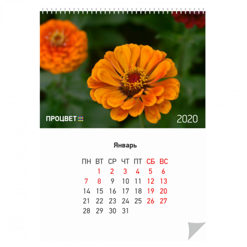 Календарь перекидной А4 (6 или 12 листов + обложка с печатью и подложка без печати)