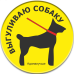 Значок закатной круглый "выгуливаю собаку" диаметр 37 мм, крепление булавка