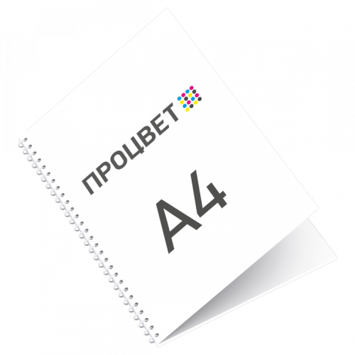 Презентация на пружине А4, 4+4 (20 листов+обложка+подложка)