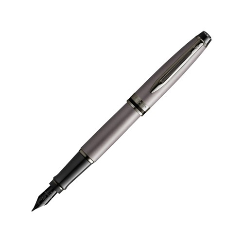 Перьевая ручка Waterman Expert Silver F BLK в подарочной упаковке