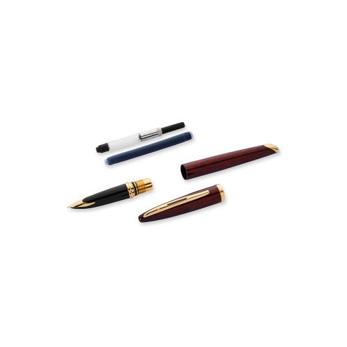 Ручка перьевая Waterman Carene Amber GT F, коричневый/золотистый