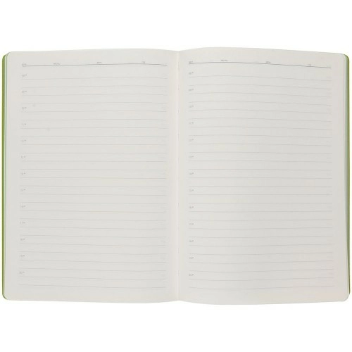 Ежедневник Flexpen, недатированный, серебристо-зеленый