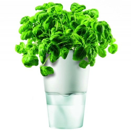 Горшок для растений Flowerpot, фарфоровый, голубой
