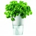 Горшок для растений Flowerpot, фарфоровый, голубой