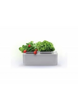 Компактный смарт-сад iGarden